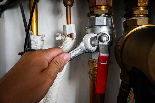 Best 24-Hour Plumber Near Me  in Somerset, WI